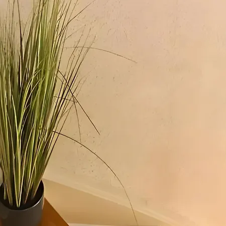 Apartment Pusteblume *