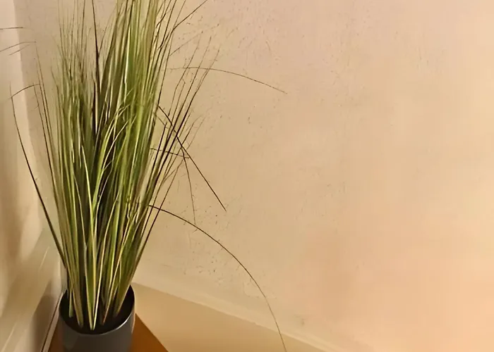 Apartamento Pusteblume *