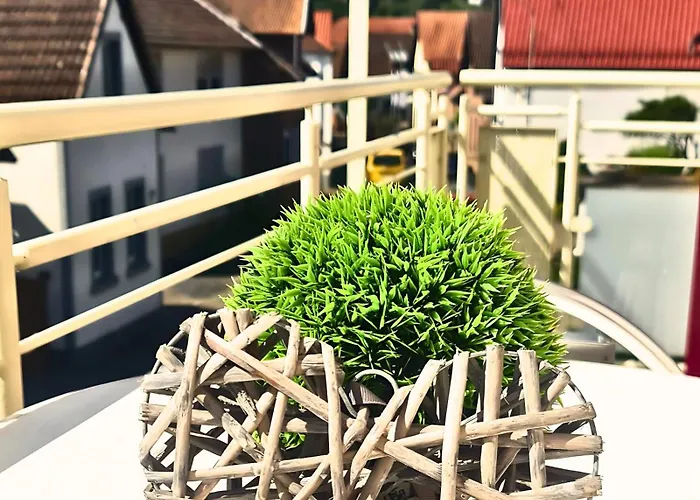 Pusteblume * Sankt Martin